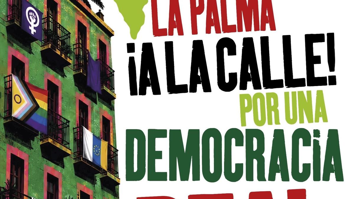 Llamamiento a la ciudadanía: salir a la calle en defensa de la democracia real