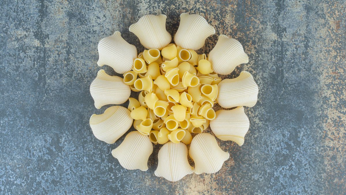 Pasta en forma de caracola