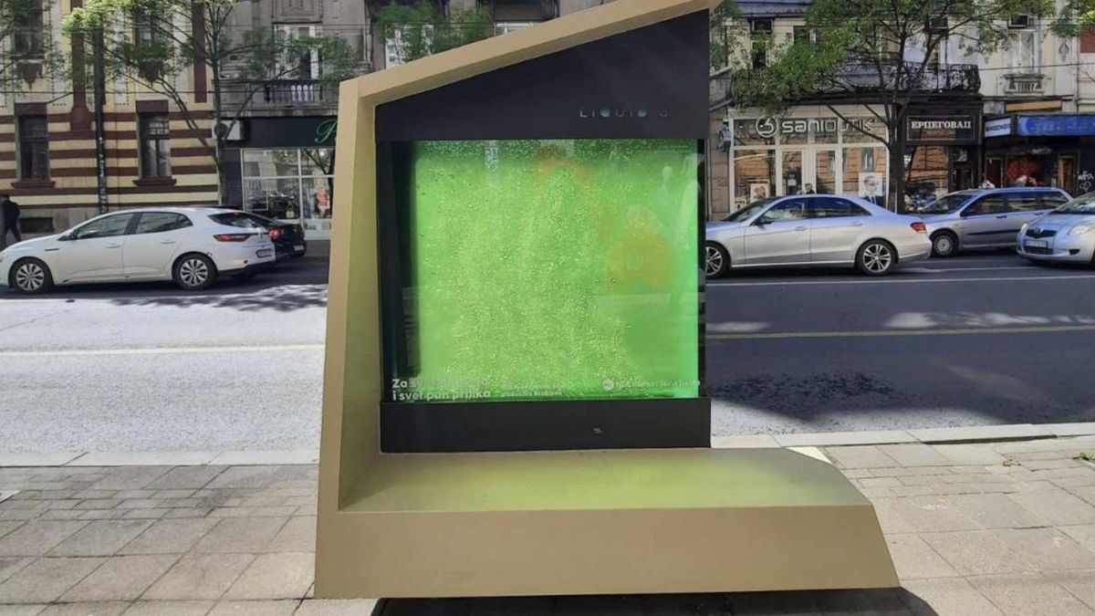 Un tanque transparente alberga organismos que transforman gases