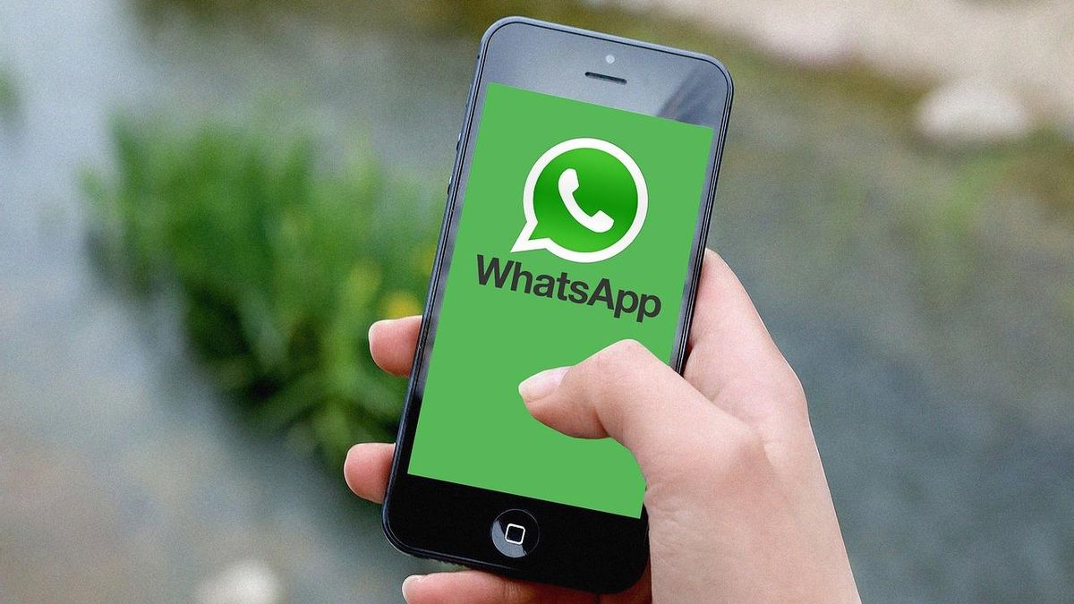 Nuevo canal de Whatsapp de ElDiario.es Castilla-La Mancha
