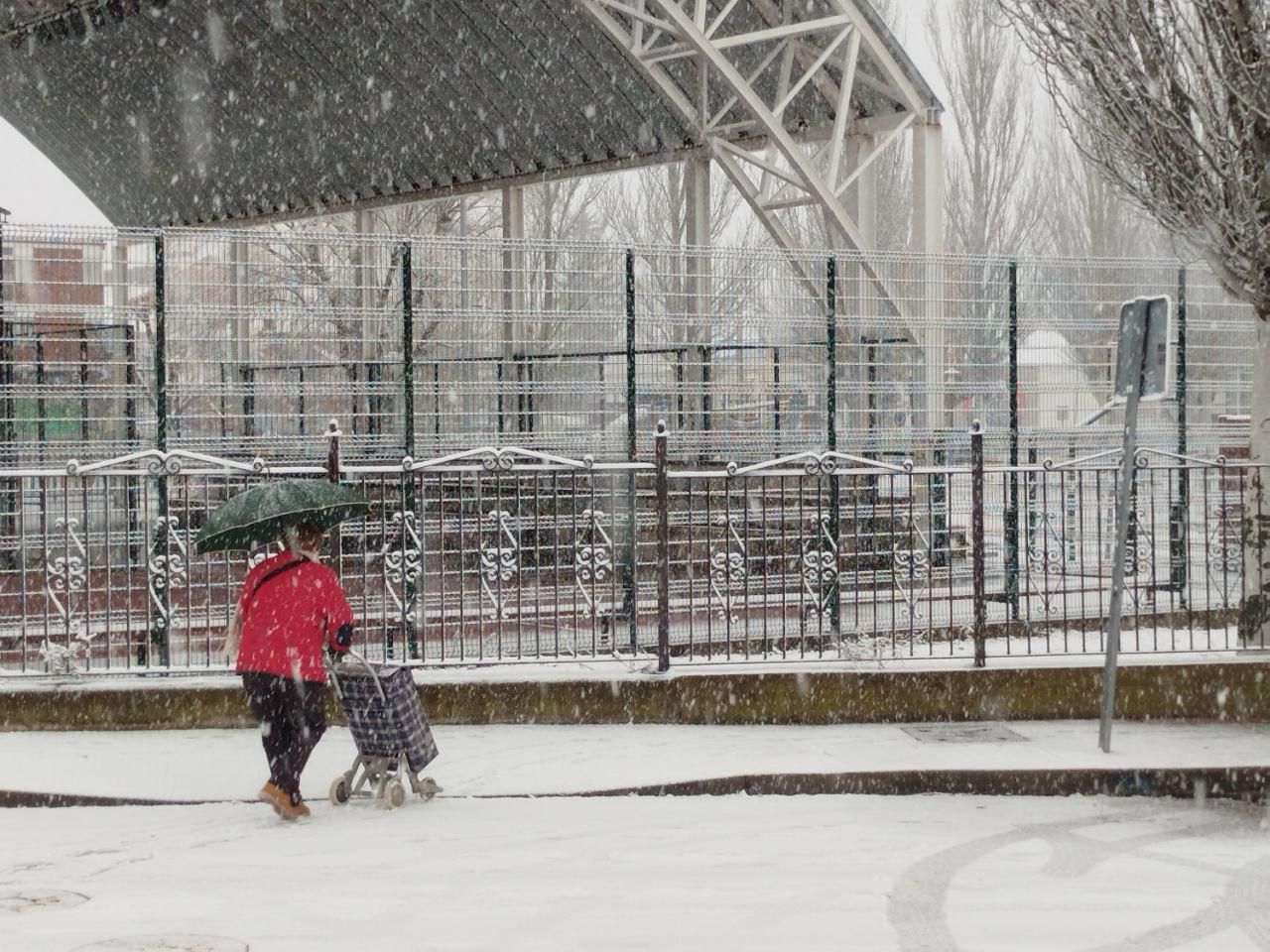 La nieve cuaja en la provincia de León: estampas blancas