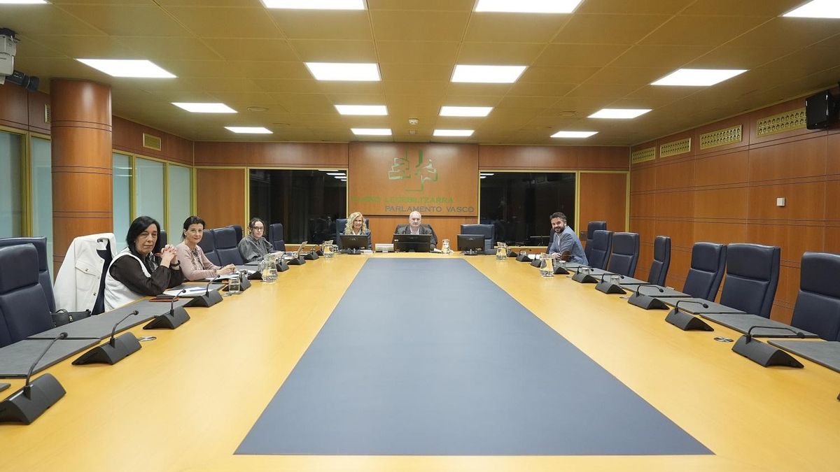 Un total de 30 expertos expondrán en el Parlamento Vasco su receta para mejorar la democracia en Euskadi