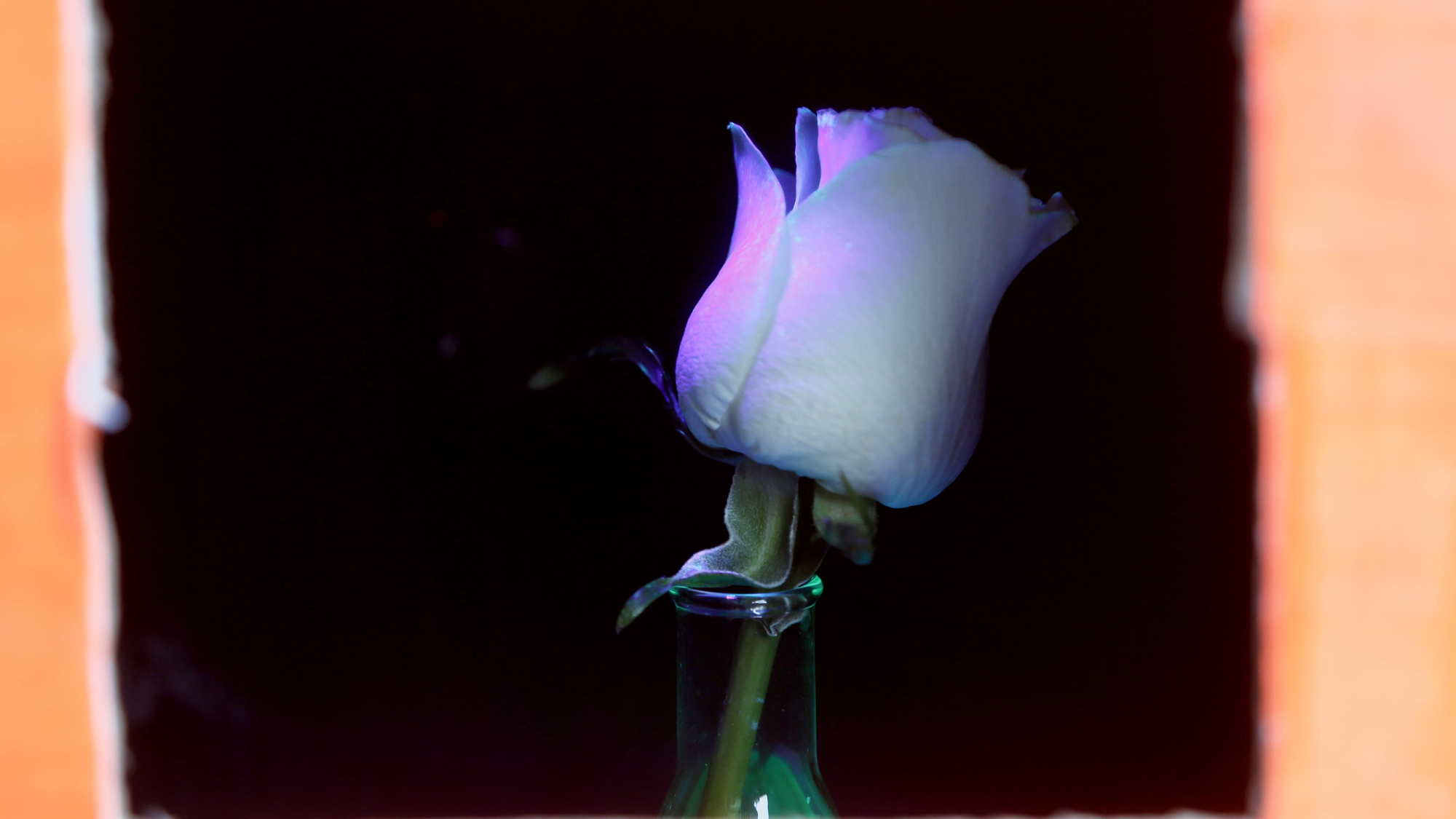 Paseo por la Ciencia 2026