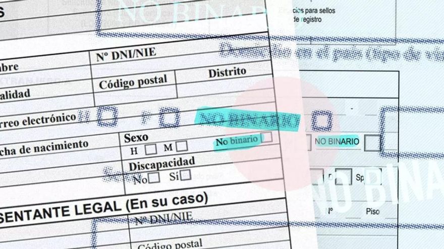 El Gobierno canario ordena eliminar la casilla de “género no binario” en formularios de Educación