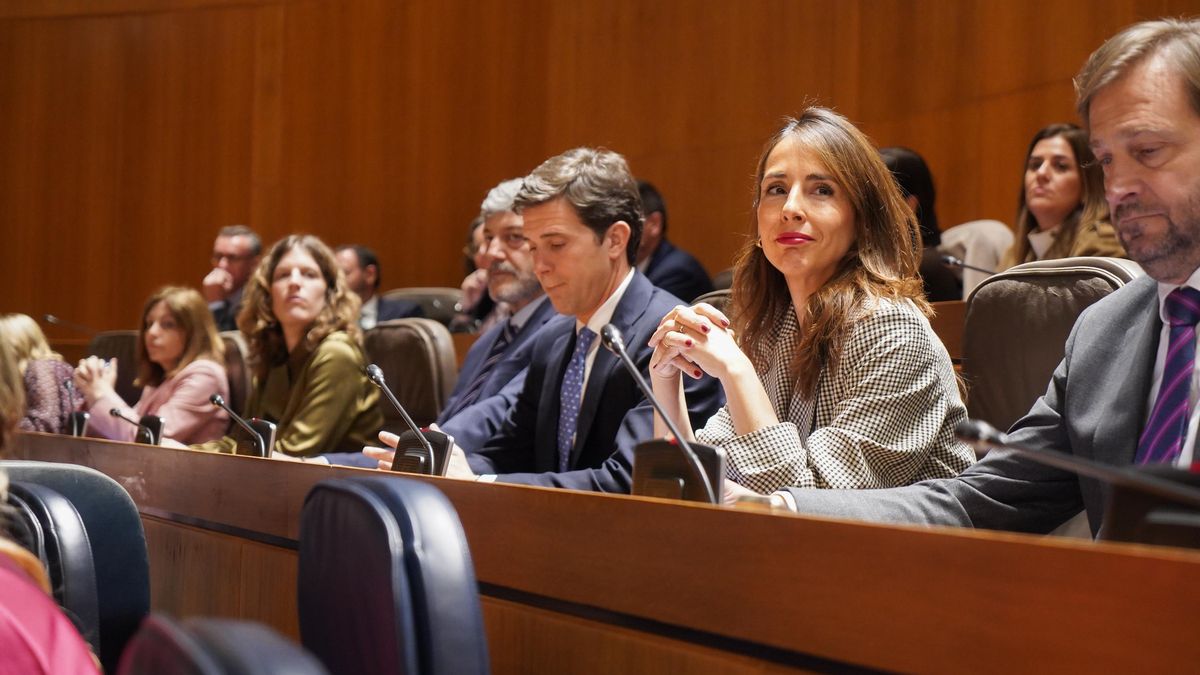 María Navarro, del PP, presidirá las Cortes de Aragón ante la falta de pacto con Vox y gracias a la abstención de Teruel Existe