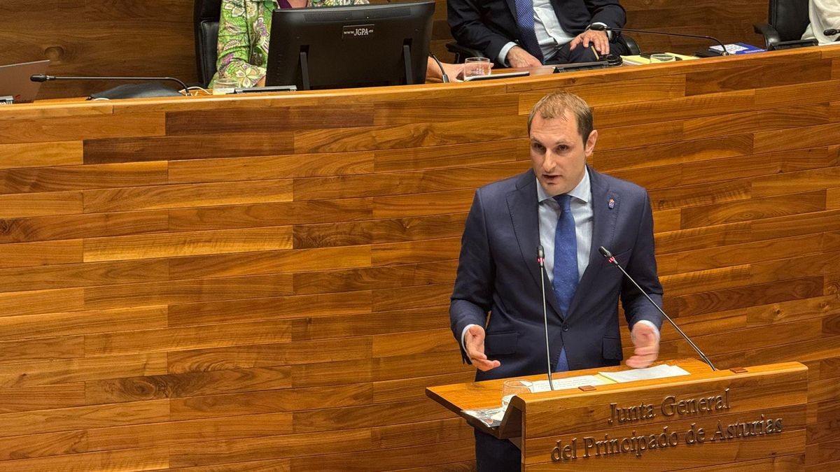 El diputado de Foro Asturias, Adrián Pumares.