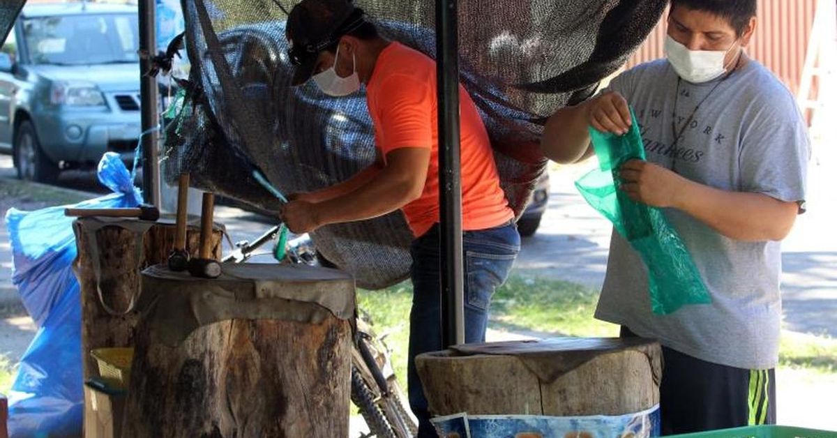 La venta de hoja de coca "machucada" también espera recuperarse en Bolivia