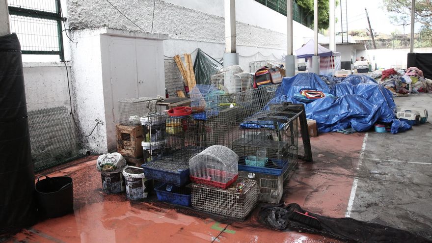 El refugio de los animales, dañado después de las lluvias que cayeron sobre La Palma durante la madrugada del viernes