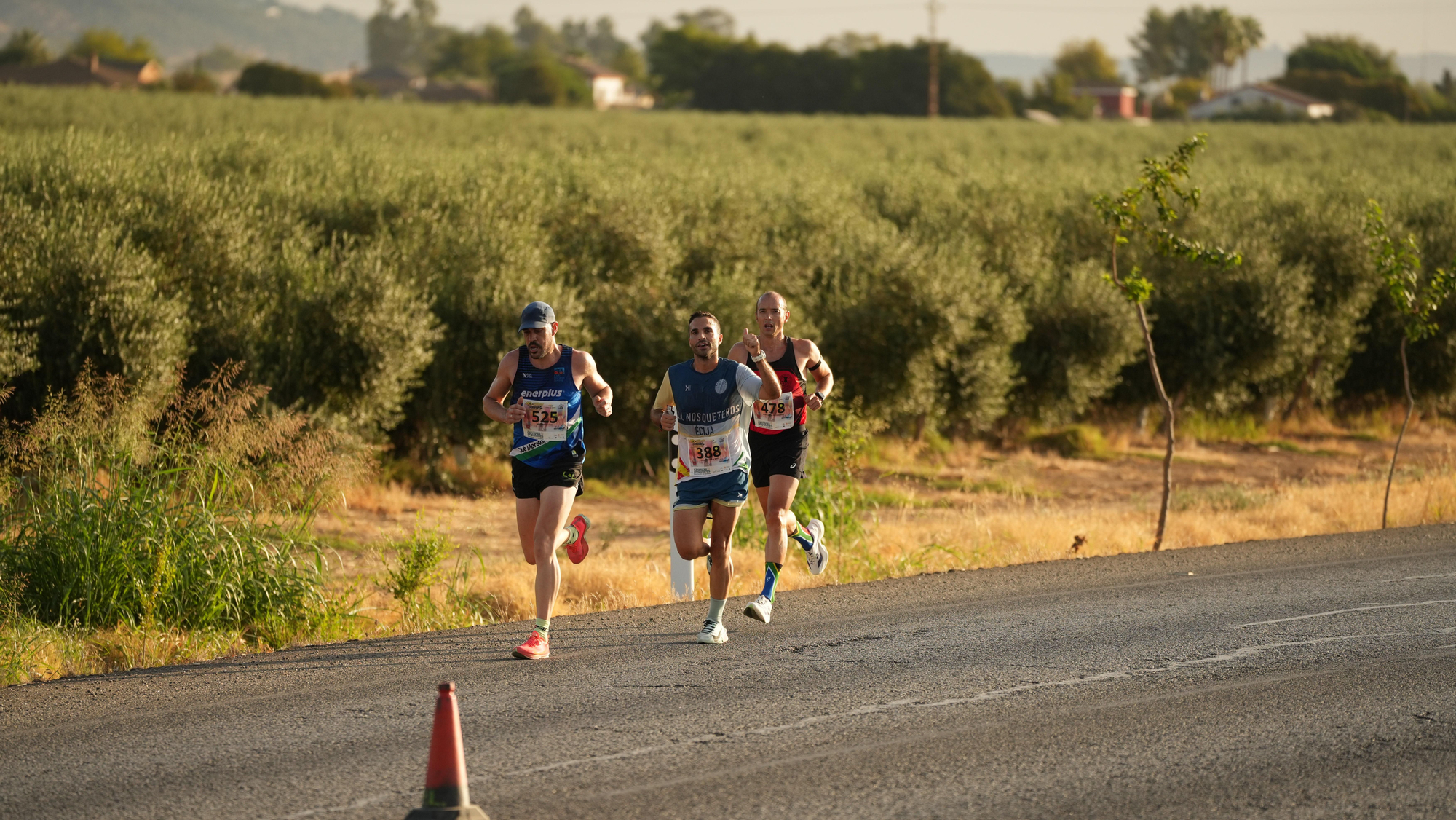 Media Maratón de Almodóvar del Río