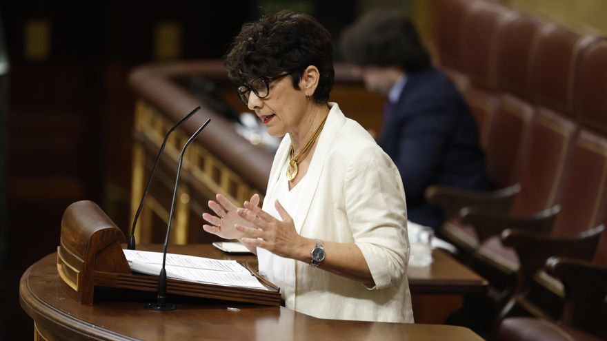 La portavoz del PNV, Maribel Vaquero, interviene durante el pleno en el Congreso de los Diputados, este miércoles. EFE/ Mariscal