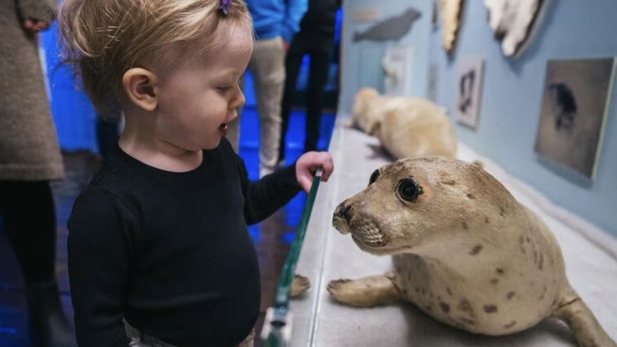 Este museo polar abrió sus puertas en 1978 en una isla conocida como "la puerta del Ártico" y muestra la vida de cazadores y exploradores