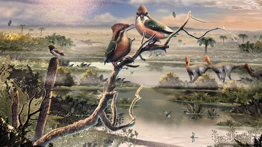 Imagen recreada del 'Gorgonavis alcyone'