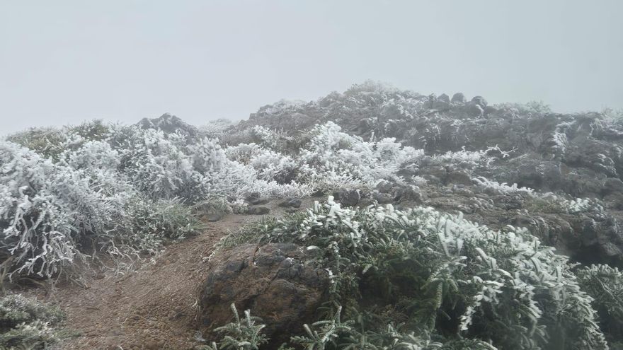 Paisaje invernal protagonizado por la  escarcha  este martes en las cumbres de La Palma.