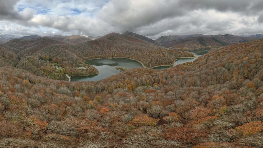 Piden recuperar "el espíritu de emergencia climática" en el Día de la Madre Tierra