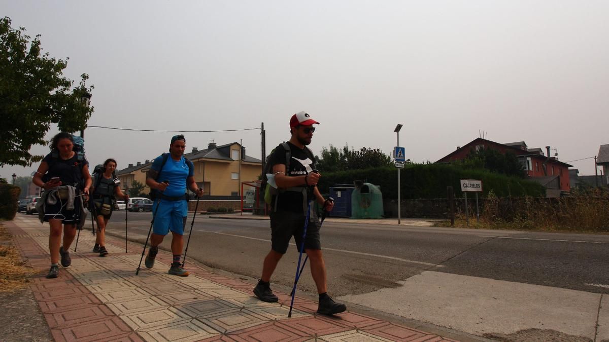 Castilla y León 'reabre' el Camino de Santiago en el tramo entre Astorga y Ponferrada que limitó por los incendios
