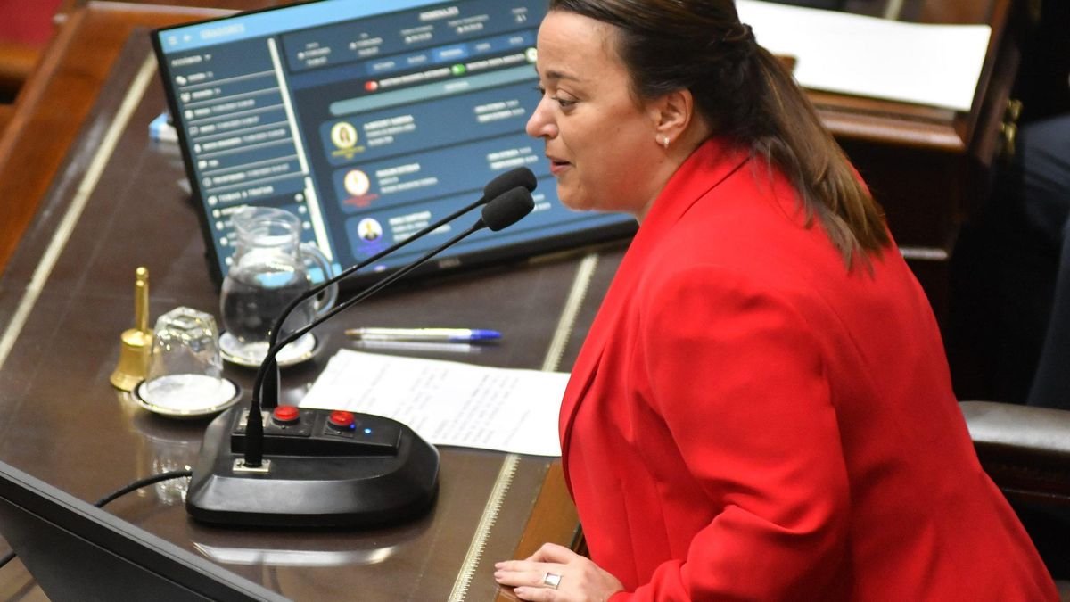 Cecilia Moreau presidiendo la sesión