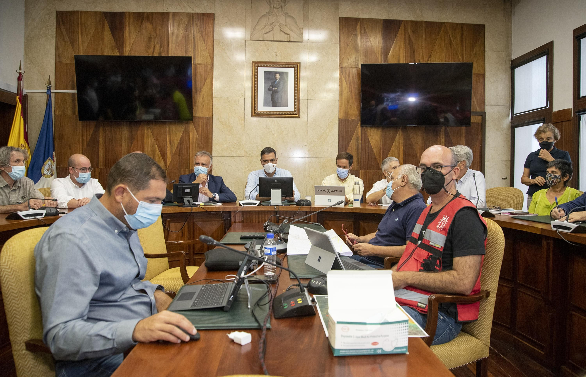 Reunión de Comité Científico y del Comité Técnico del Pevolca.
