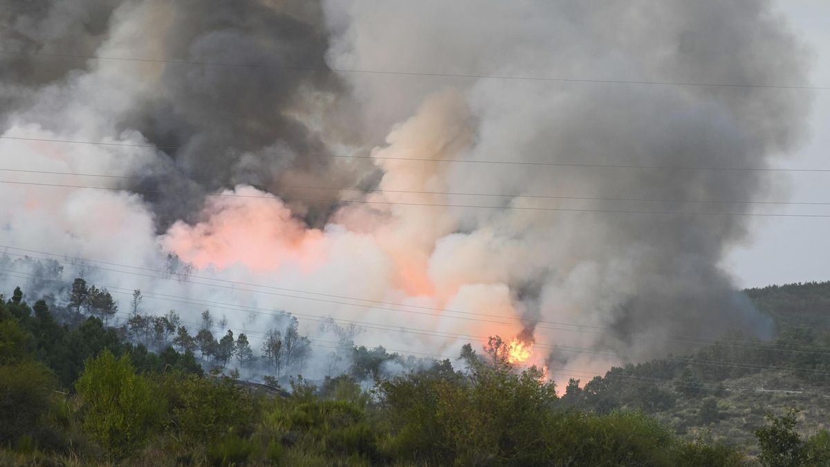 - Incendio en las inmediaciones de la localidad de La Magdalena, este lunes.
