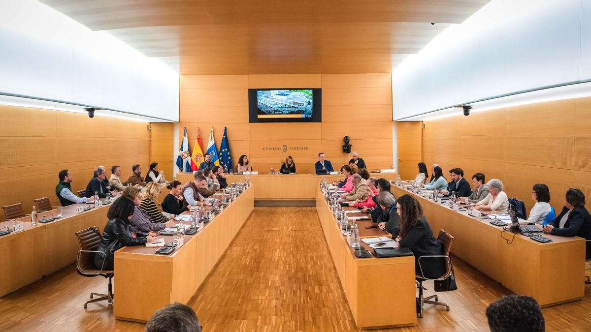 Reunión del Consejo Insular de Administración Territorial de Tenerife, este lunes.