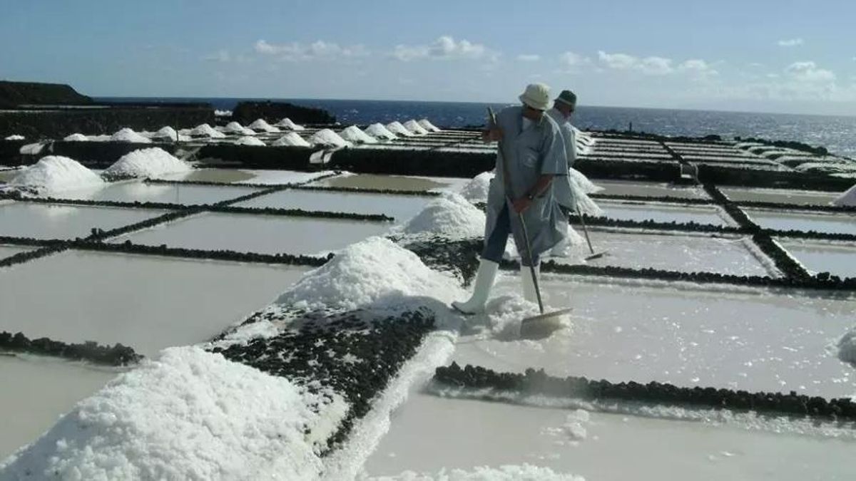 Kilian Sánchez defiende en el Senado fortalecer las políticas de apoyo a la sal marina tradicional y las salinas canarias