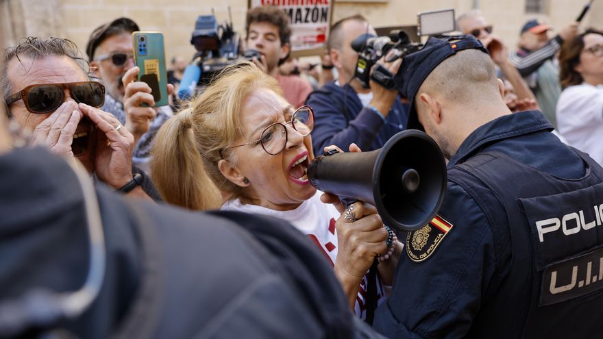 Víctimas de la dana se concentran ante Les Corts Valencianes al grito de 'Mazón dimisión'