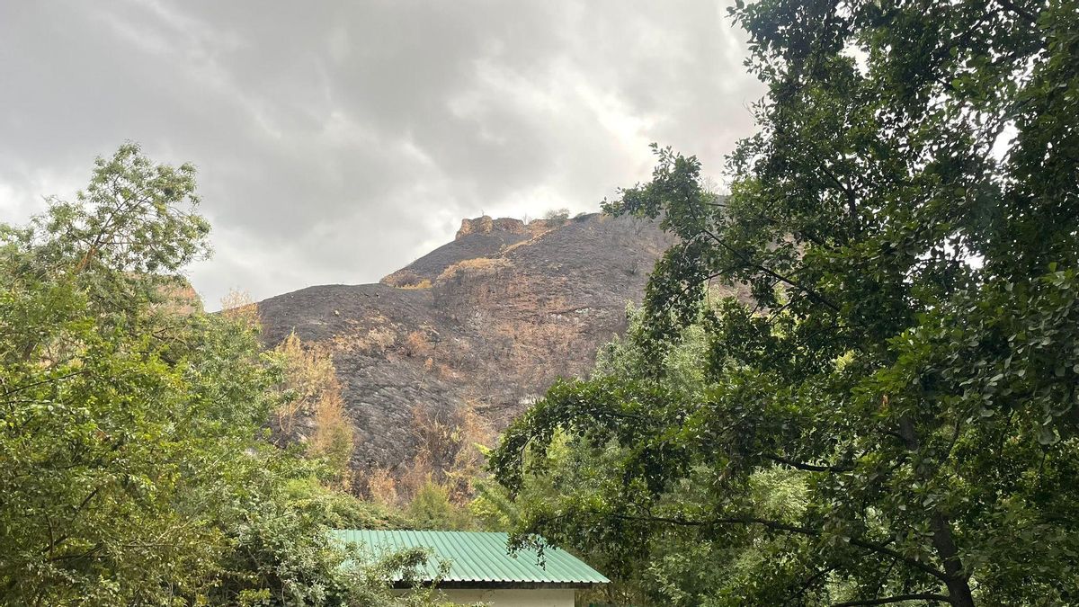 Peñas de Viguera tras el incendio