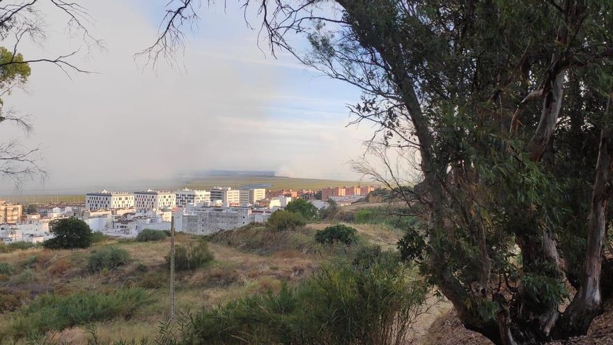 El Infoca logra confinar el incendio de Huelva pero el viento mantiene en riesgo la reserva de las marismas del Odiel