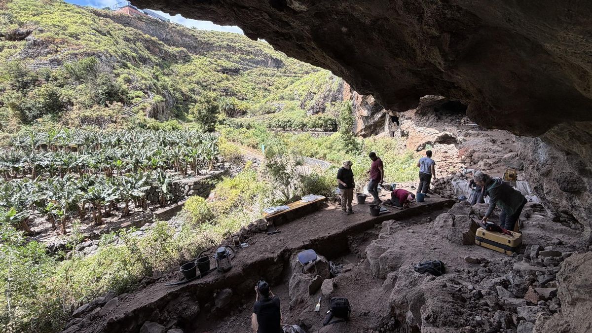 La nueva excavación arqueológica en la Cueva del Tendal  desvela “hallazgos de gran interés para la etapa prehispánica de La Palma”