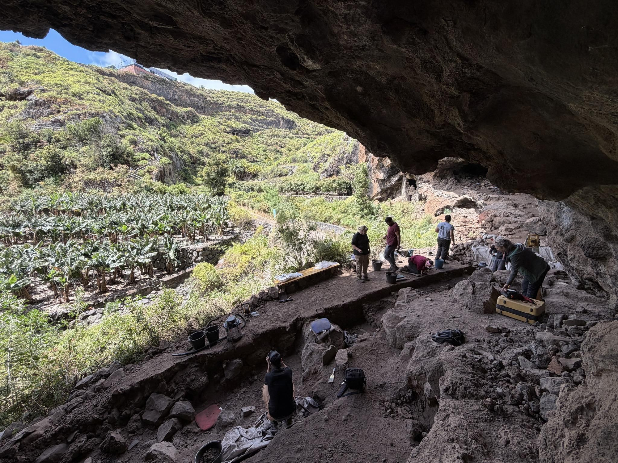 Quinta campaña de excavaciones arqueológicas en la Cueva de El Tendal (San Andrés y Sauces)