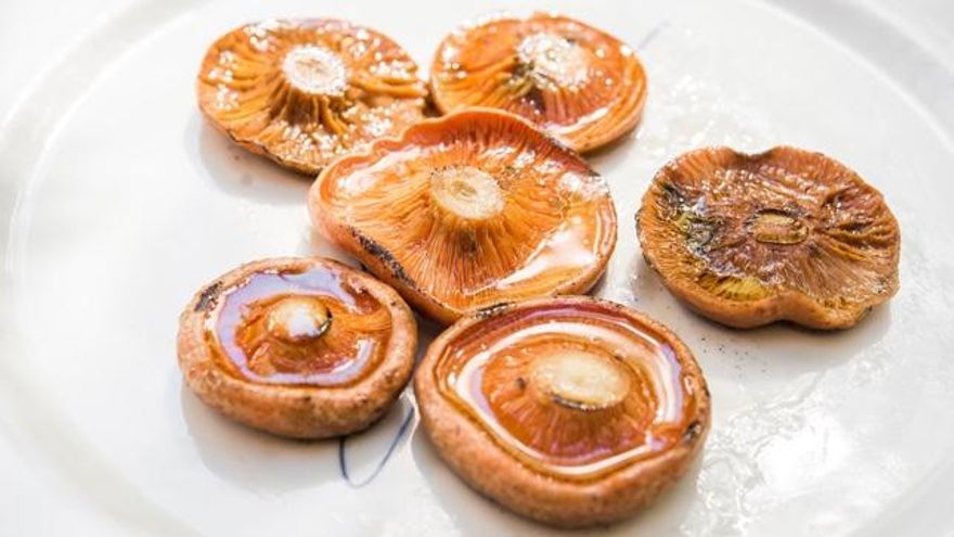 9 recetas para cocinar toda la variedad de setas del otoño: a la plancha, al ajillo, en sopa y crudas