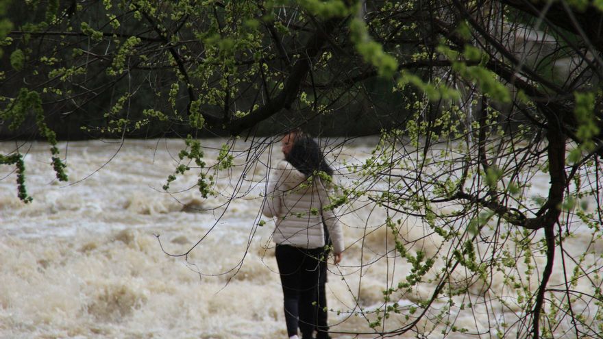 Cuando el Tajo se comporta como un río en Toledo
