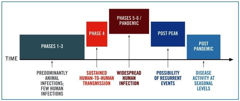 Fases de la pandemia