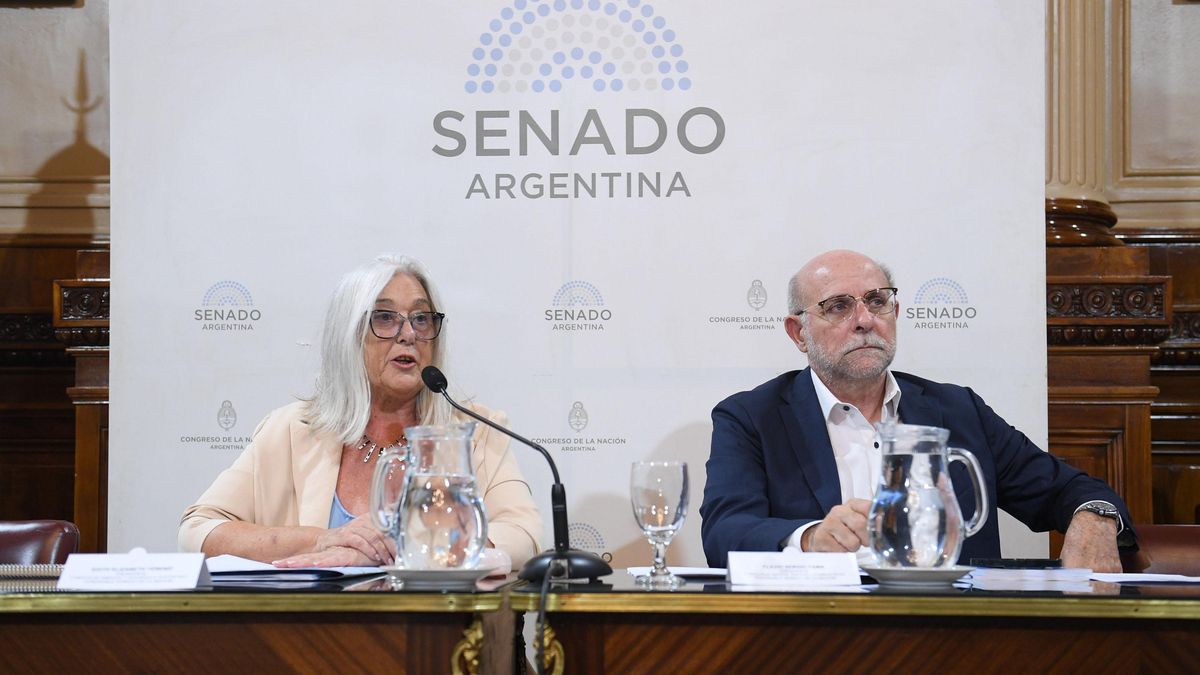 La reunión plenaria presidida por los senadores Flavio Fama (UCR) y Edith Terenzi (Despierta Chubut).