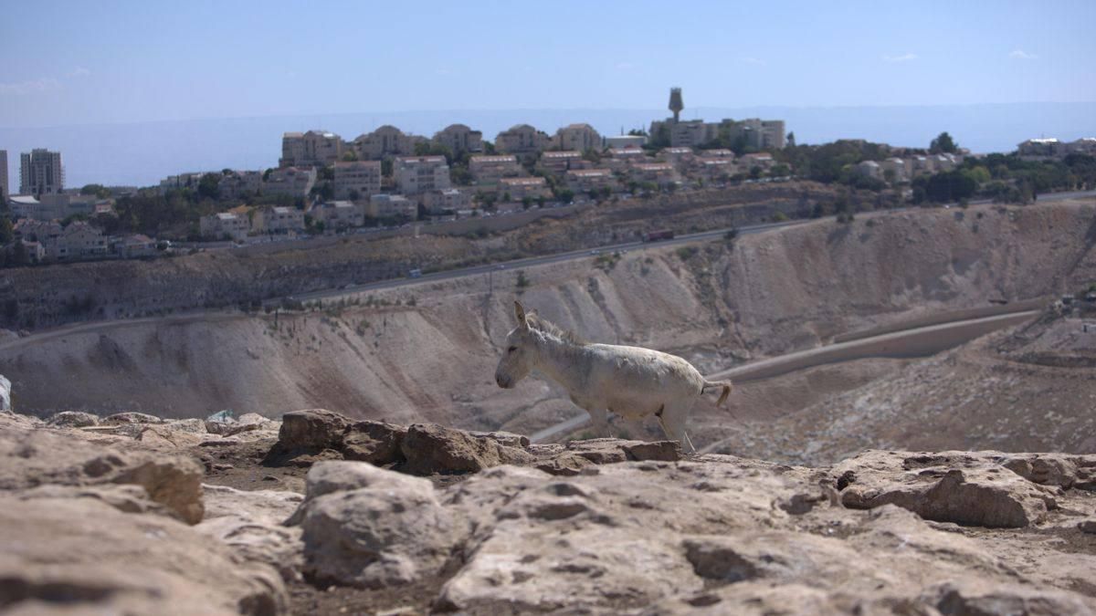 España sigue facilitando comercio desde asentamientos ilegales israelíes, con transbordos de mercancías en sus puertos
