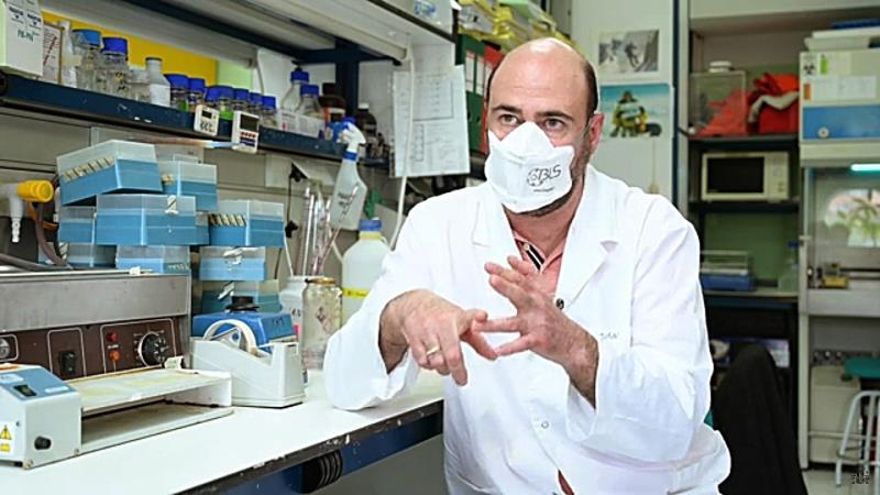 CSIC ensayará con animales una posible vacuna la próxima semana