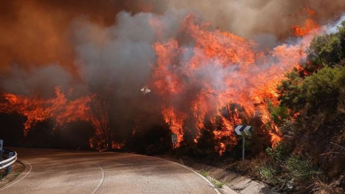 Un incendio declarado de madrugada en Moreda vuelve a poner en alerta a León mientras mejora la situación en La Utrera