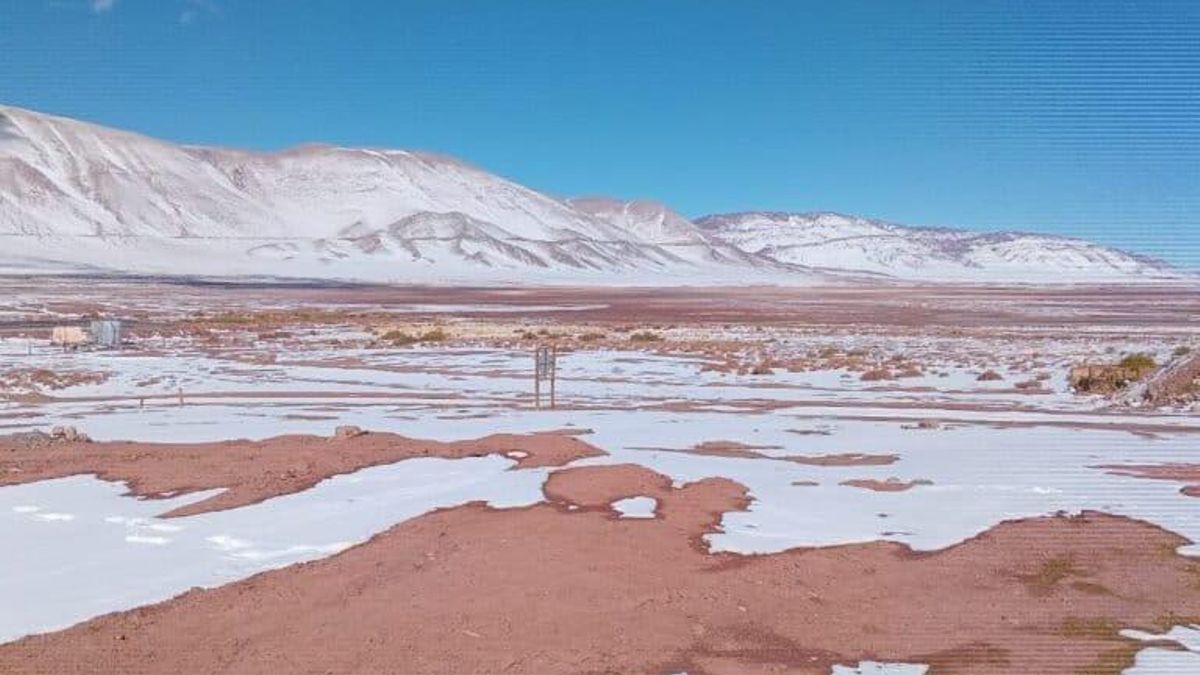 La reserva Los Andes es tan importante para la provincia de Salta que representa el 80% de toda la superficie que el gobierno provincial ha declarado como área protegida. Foto: obtenida por Mongabay Latam