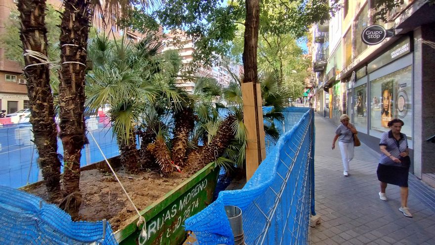 La Comunidad de Madrid arranca árboles en Conde de Casal, el barrio con menor oposición vecinal a las talas de Metro