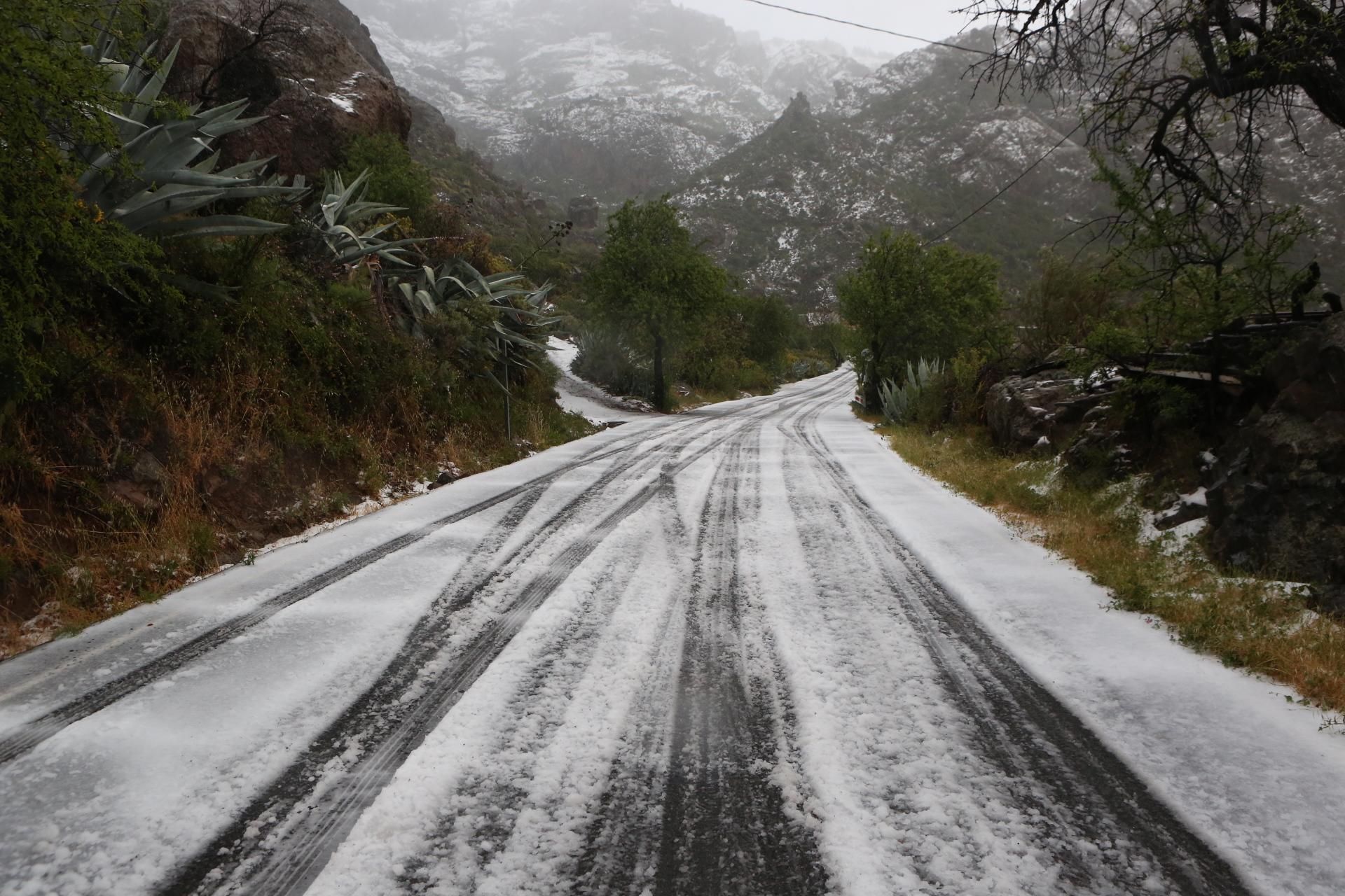 Nieve en Ayacata (ALEJANDRO RAMOS)