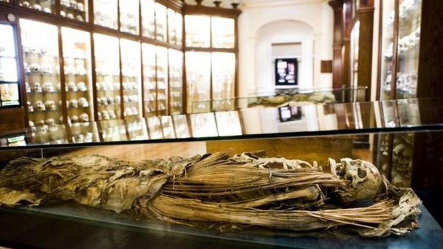 El Museo Canario se convierte en museo concertado de arqueología