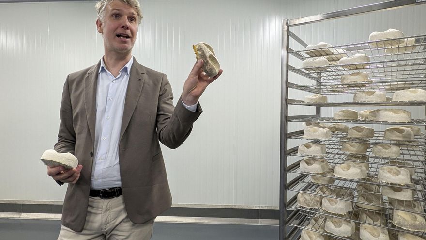 Bruselas estrena la mayor fábrica de embalajes ecológicos con hongos de Europa