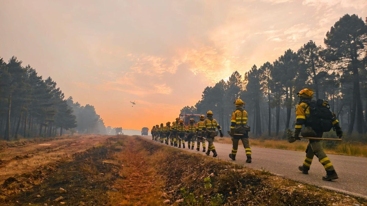 Los incendios en León han quemado en un mes siete veces más que en el mismo periodo de los últimos seis veranos