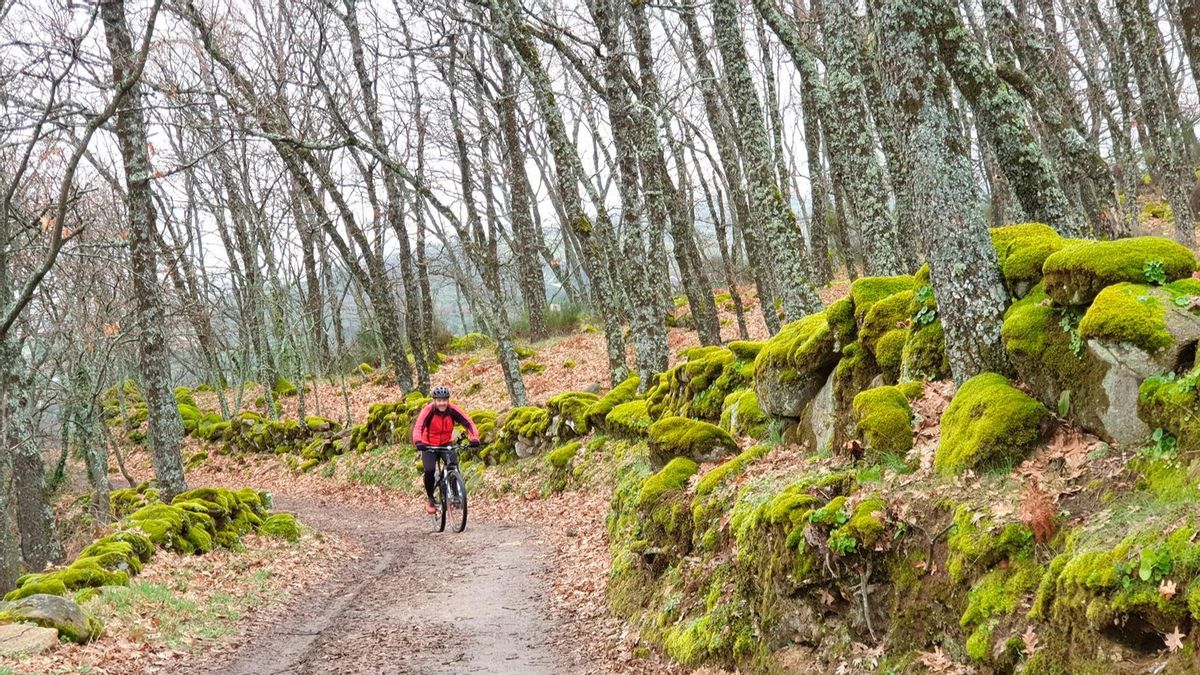 Naturaleza y deporte en el Valle del Ambroz.