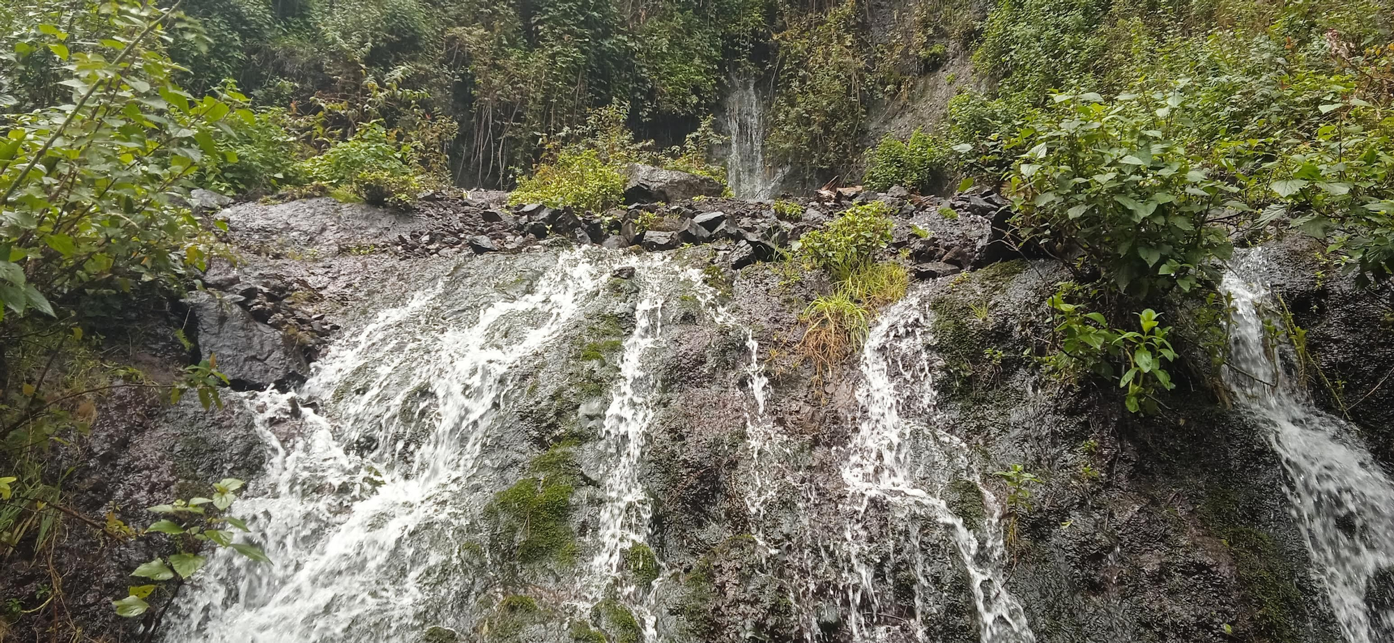 Manantial en La Palma.