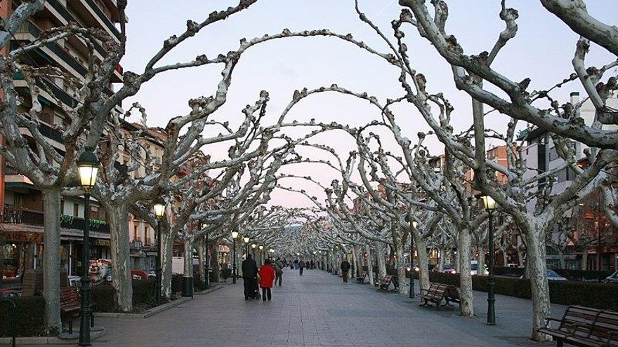 Paseo de las Cortes de Aragón, Calatayud