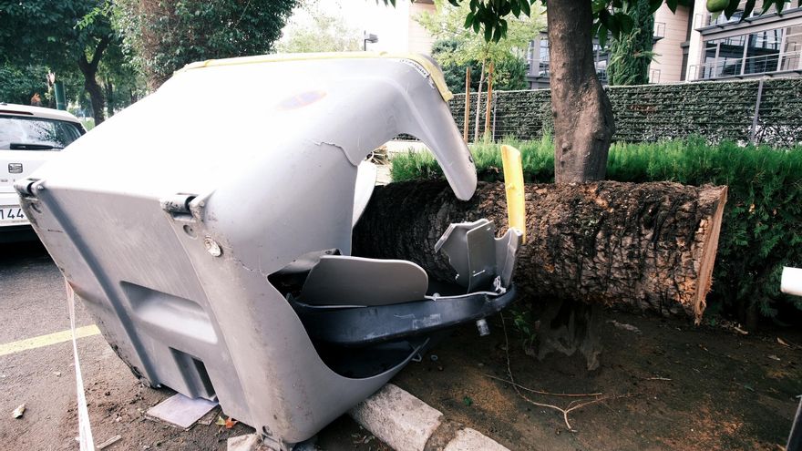 Un contenedor volcado por el viento en la Avenida de la Palmera