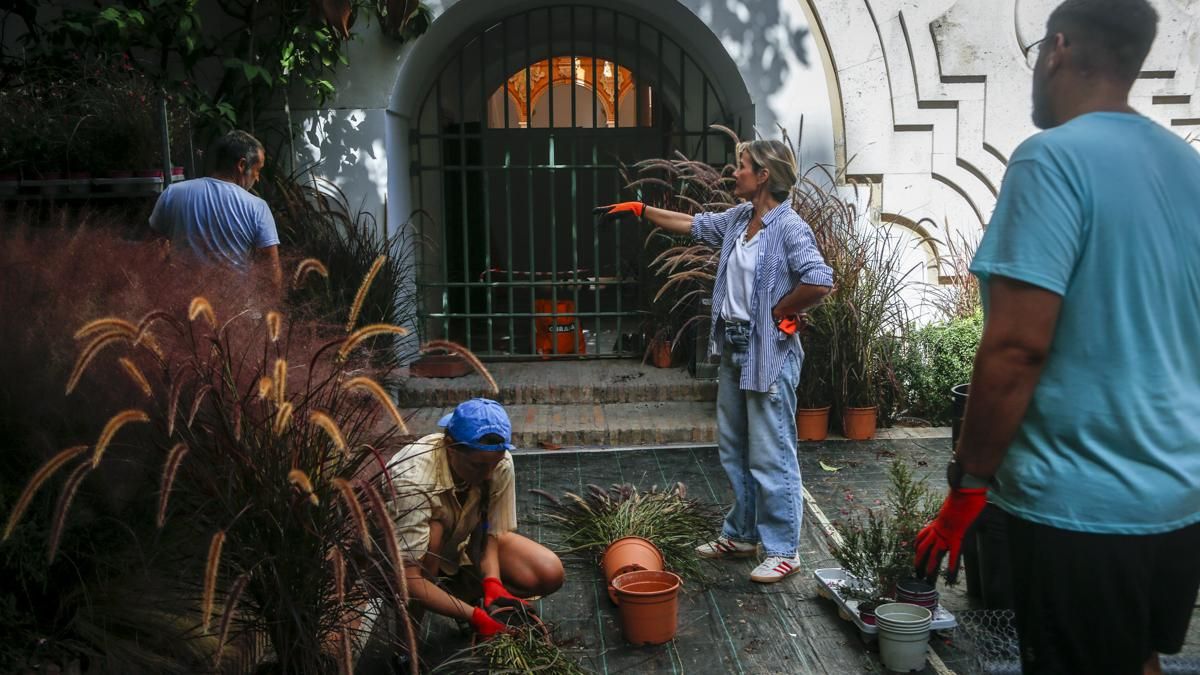 Comienzo del montaje de Flora 2025