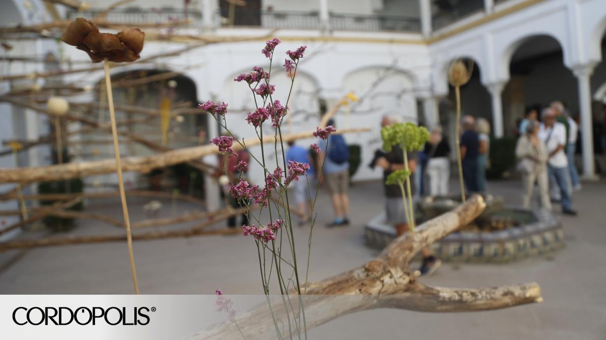 cordopolis.eldiario.es