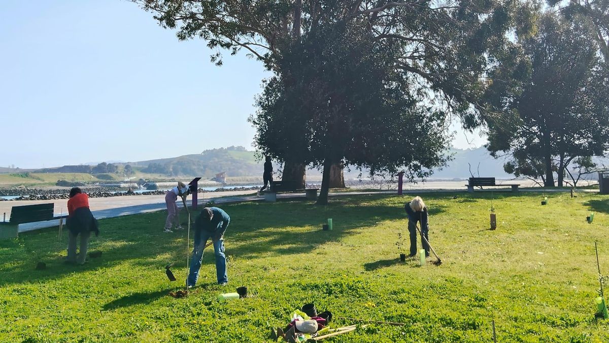 Ecologistas en Acción completa la plantación de 2.000 árboles en La Riberuca