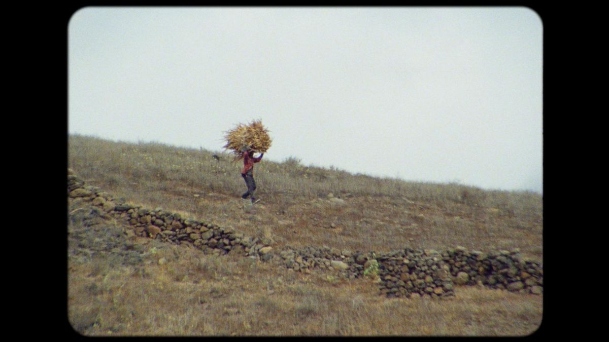 Cabral propuso la idea del ‘suicidio’ de la clase burguesa para ‘renacer’ como clase trabajadora revolucionaria.